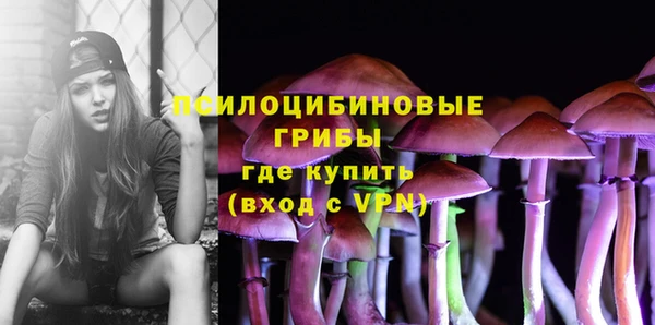 прущие крисы Надым