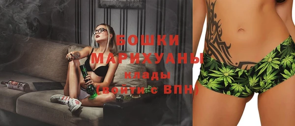 гашик Болотное