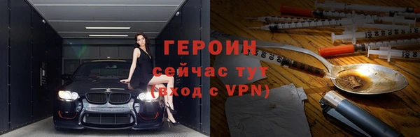 гашик Болотное