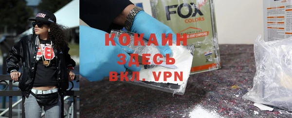 гашик Болотное