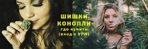 молекула духа Навашино