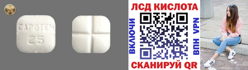 купить закладку Котельнич Лсд 25 экстази ecstasy