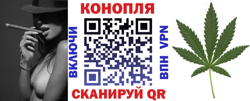 Марихуана сатива  нарко площадка Telegram  Котельнич  ссылка на мегу ONION 